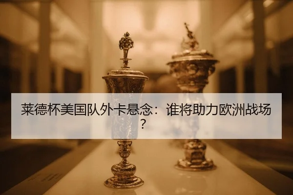lai-de-bei-mei-guo-dui-wai-ka-xuan-nian-shui-jiang-zhu-li-ou-zhou-zhan-chang-2-749.jpg